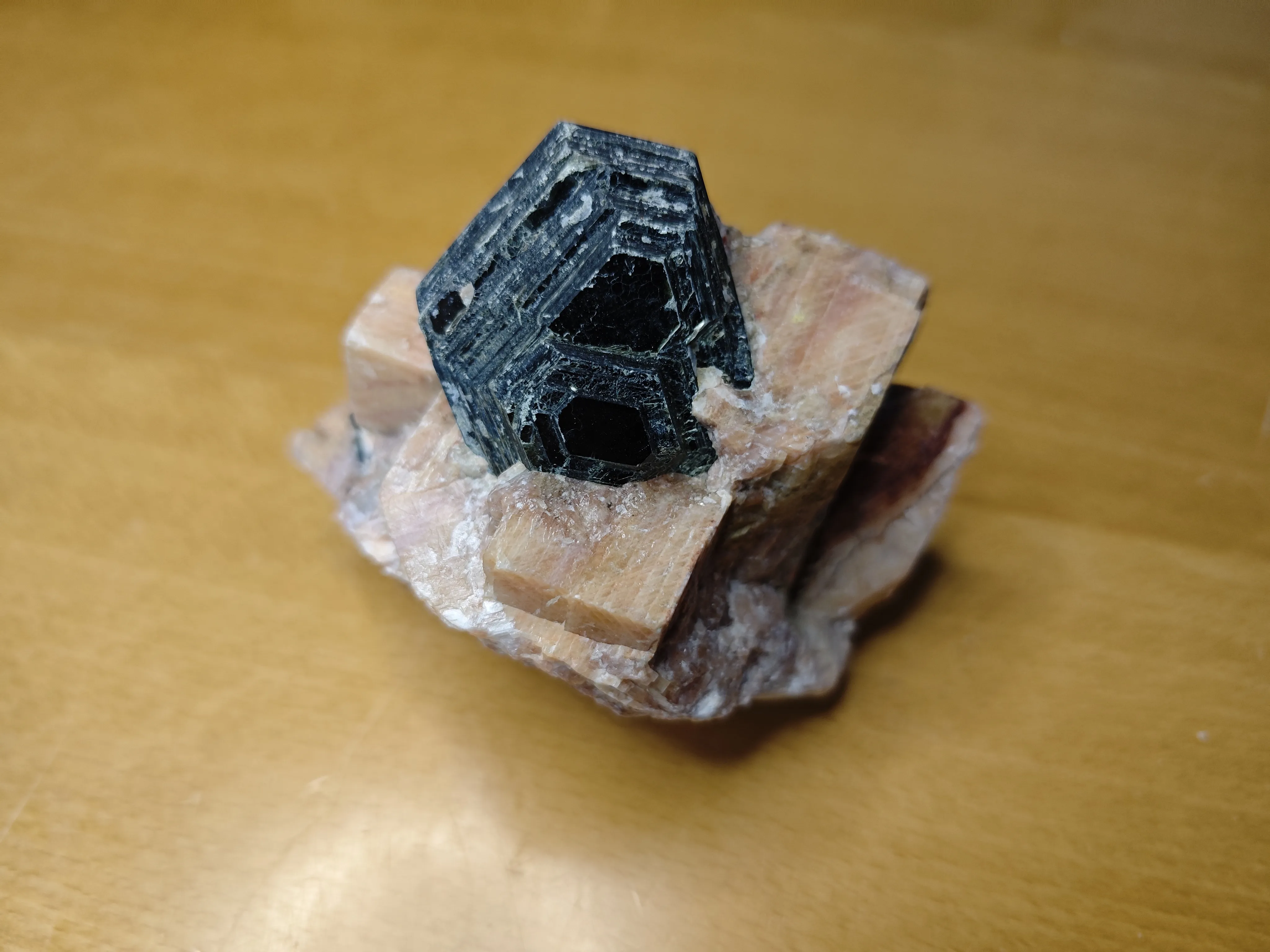 Biotite
